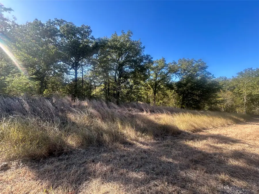 57 Point Lavista, Malakoff, TX 75148 - #2
