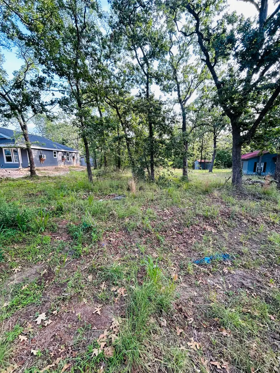 287 Casa Verde, Malakoff, TX 75148 - #2