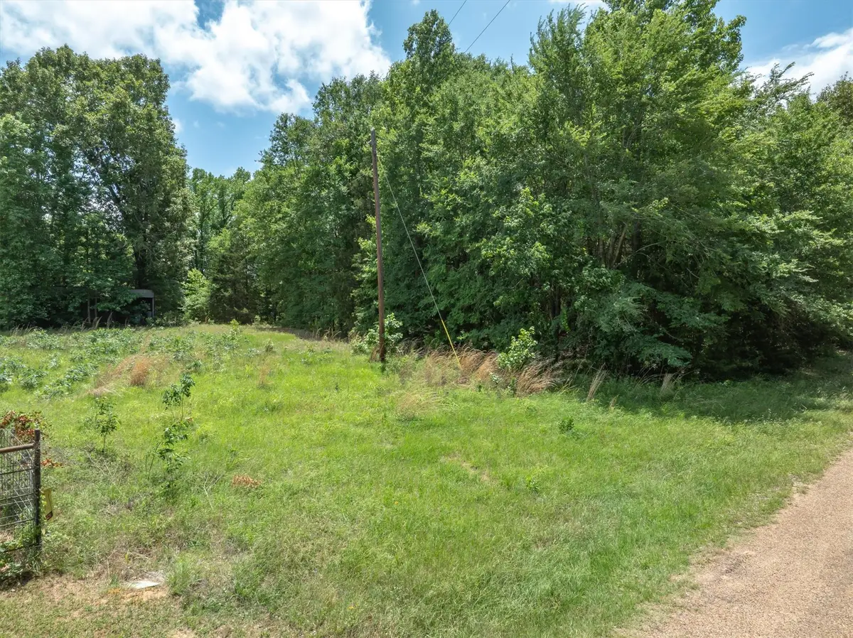 TBD Vz County Road 4909, Ben Wheeler, TX 75754 - #1