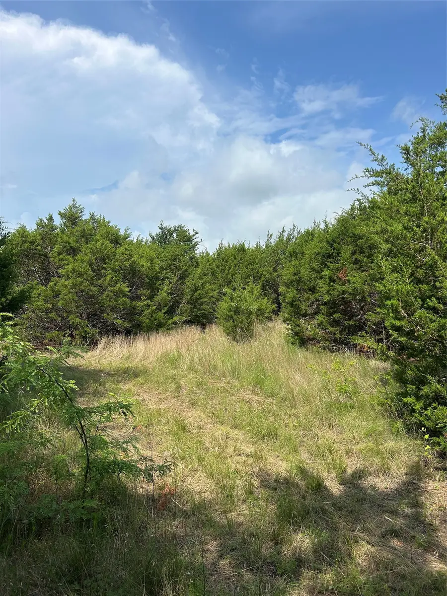 TBD Fm 1434, Cleburne, TX 76033 - #3