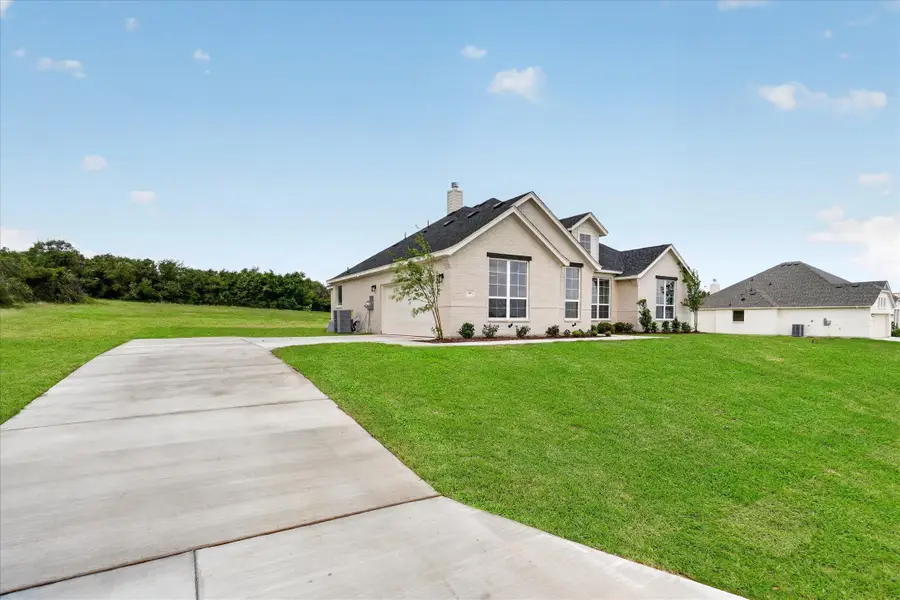 317 Skeen Peak, Springtown, TX 76082 - #3