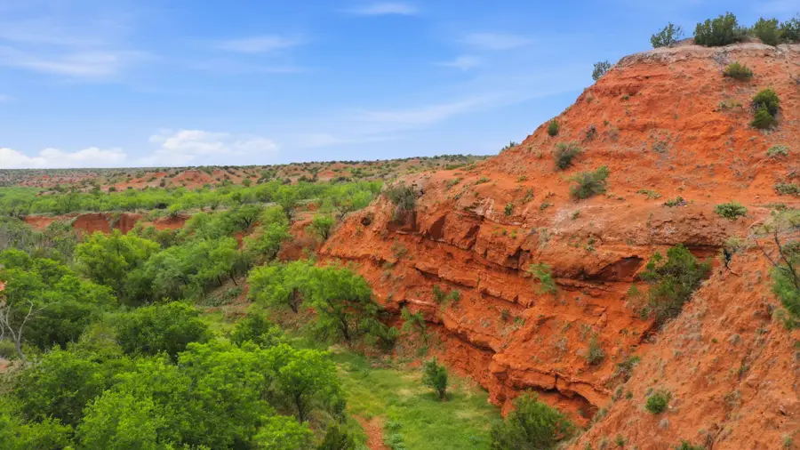 1245 County Road 349, Rotan, TX 79546 - #2