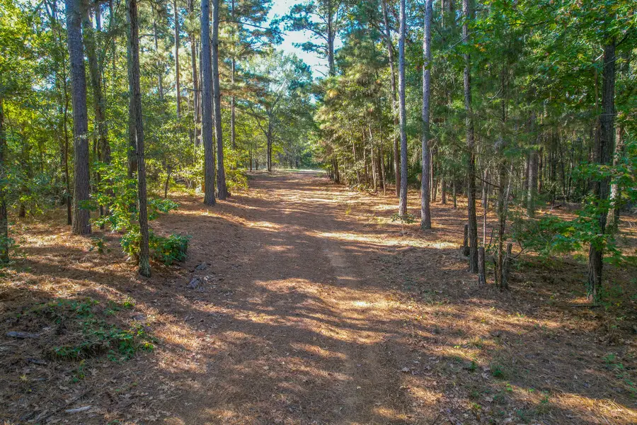 7821 Cr-3409, Chandler, TX 75758 - #2