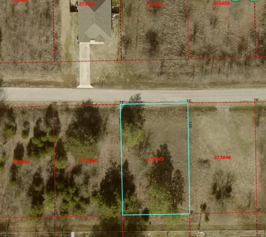 417 Maloma Road, Tool, TX 75143 - #2