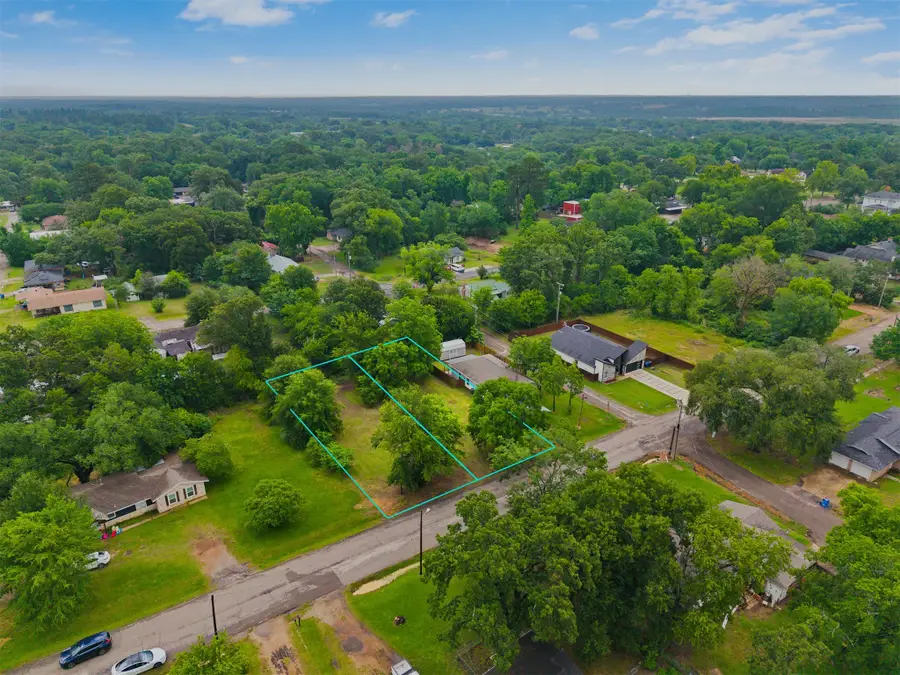 Lot 9 Spring Street, Grand Saline, TX 75140 - #3