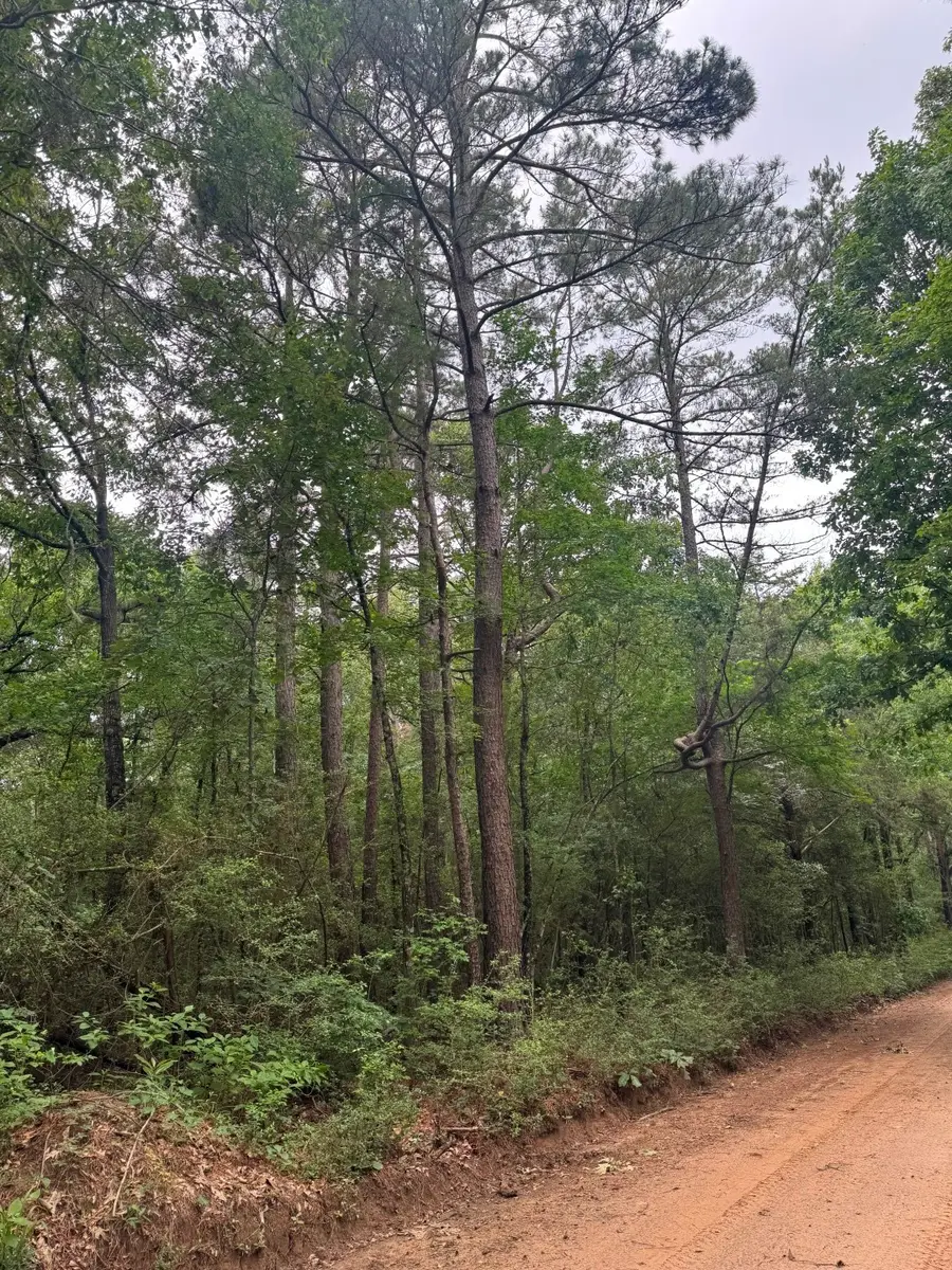 TBD County Road 4679, Tenaha, TX 75974 - #2
