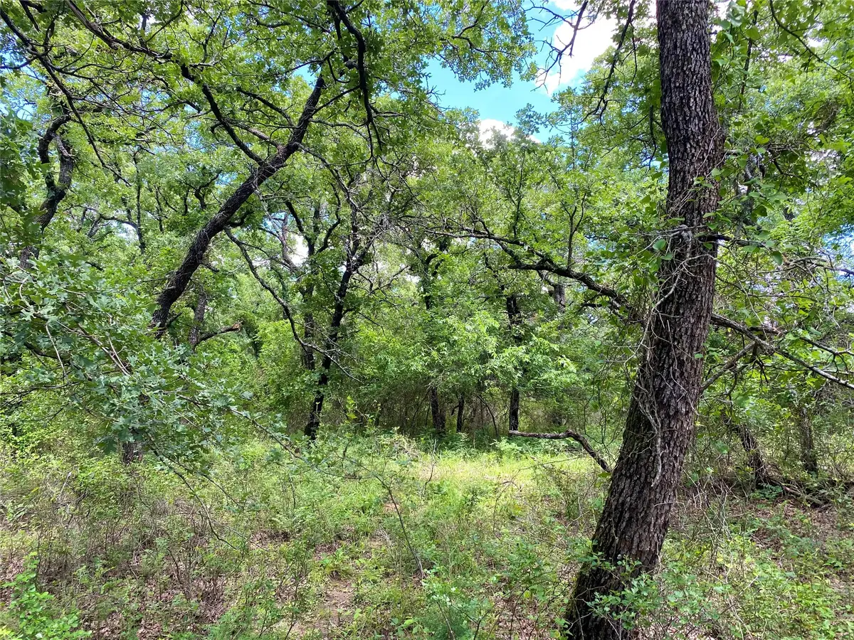 106 Hondo Drive, Nocona, TX 76255 - #1