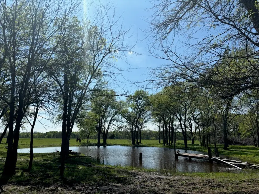 7478 County Road 1020, Wolfe City, TX 75496 - #3