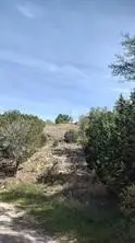 2607 Steepleridge Circle, Granbury, TX 76048 - #2
