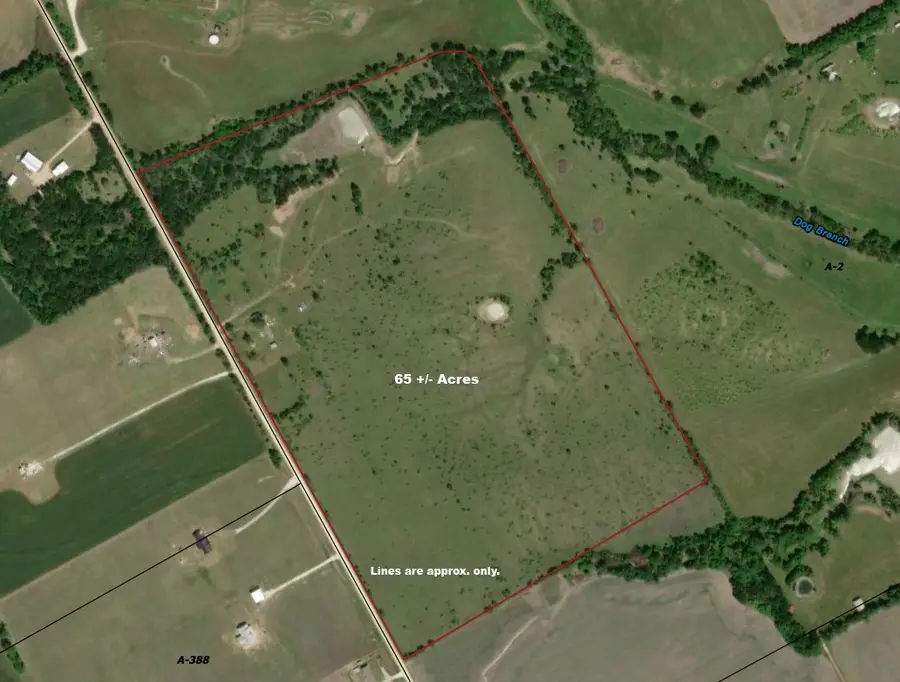 204 County Road 443, Chilton, TX 76632 - #2