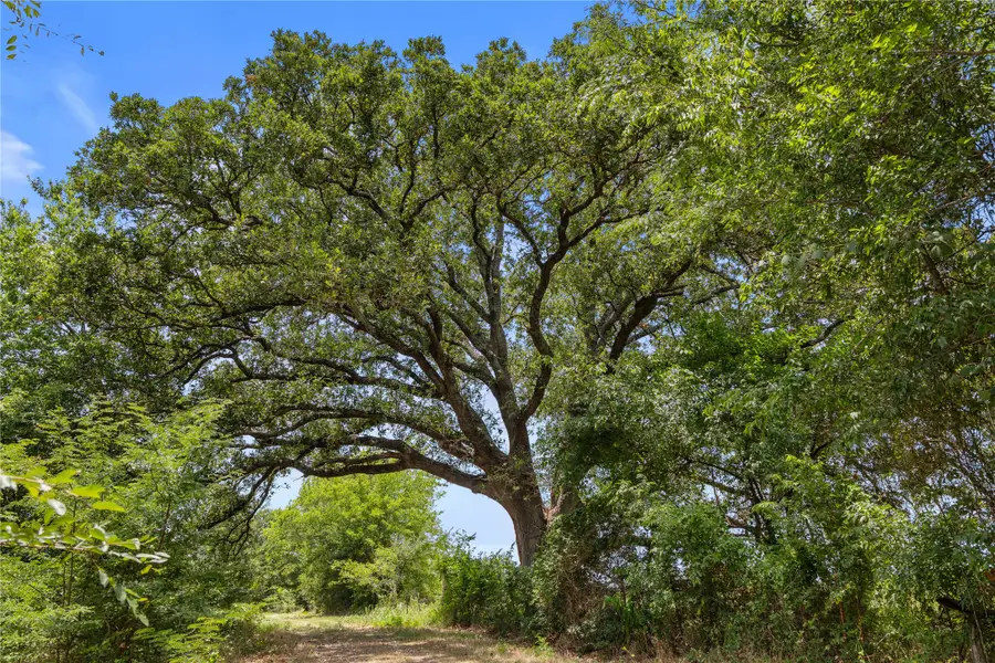 TBD Highway 274, Kemp, TX 75143 - #2