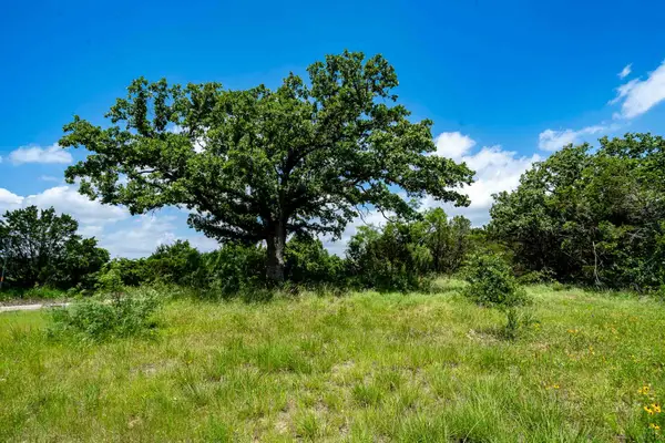 TBD Fm 203, Glen Rose, TX 76043