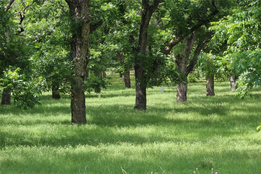 200 Poco Bueno Court, Granbury, TX 76049 - #2