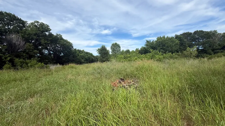 TBD County Road 722, McKinney, TX 75069 - #3