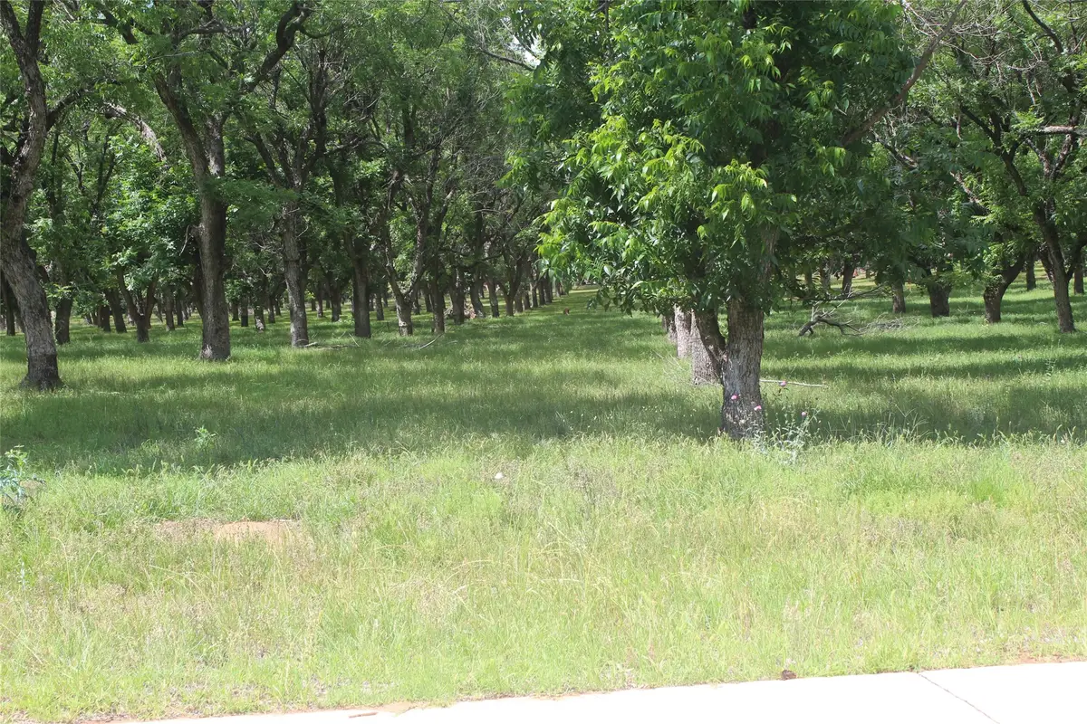 206 Poco Bueno Court, Granbury, TX 76049 - #1