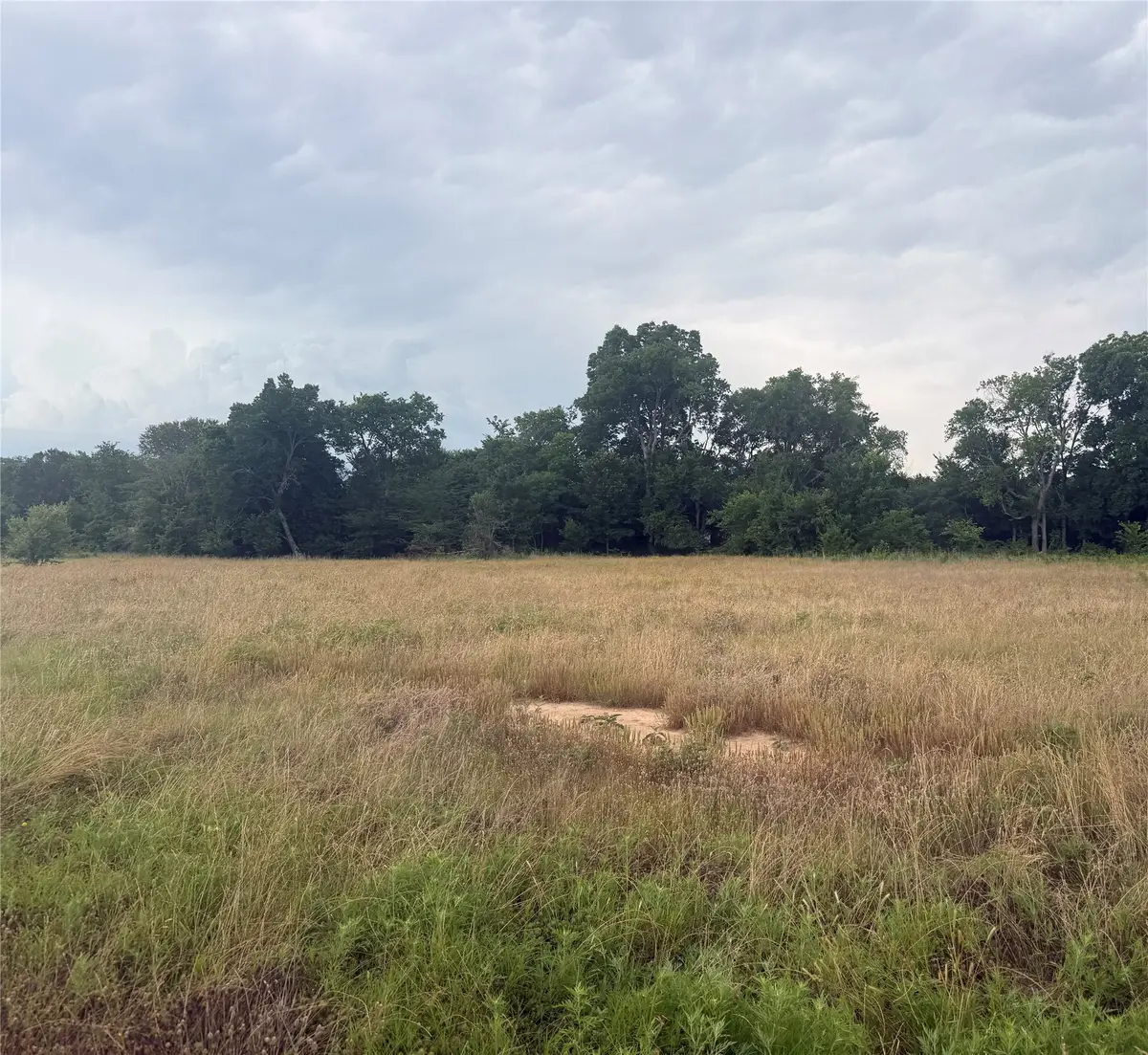 TBD Pecan Oak Trl, Wills Point, TX 75080 - #1