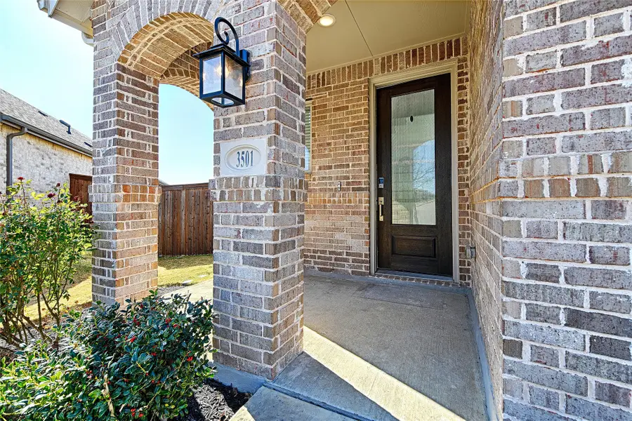 3501 Hunter Street, Aubrey, TX 76227 - #3
