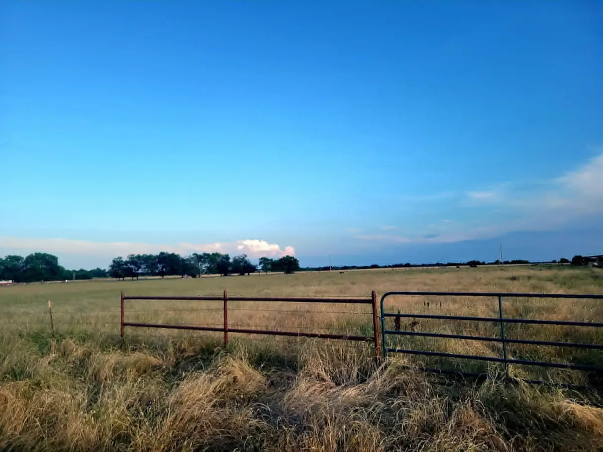 TBD County Road 4720, Wolfe City, TX 75496 - #1