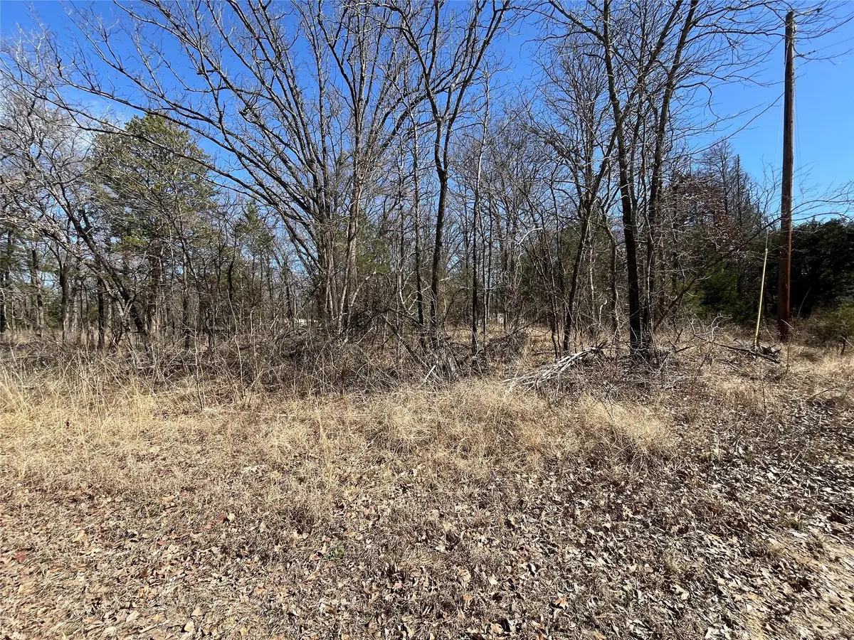 0000 County Road 3605, Quinlan, TX 75474 - #1