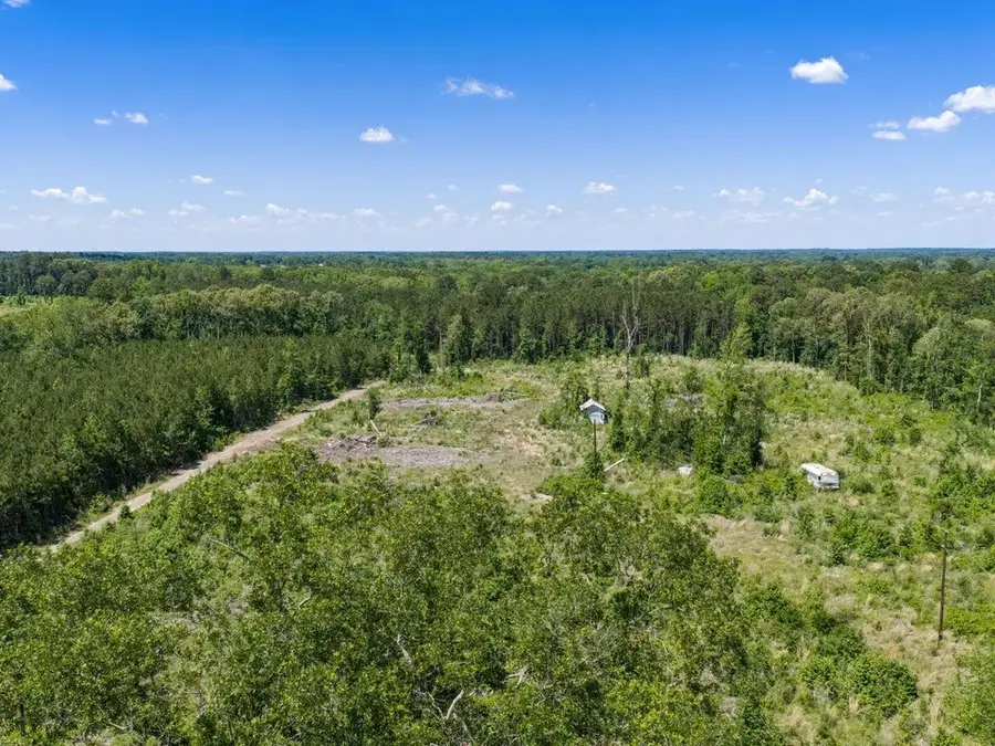 TBD Mule Deer Road, Gilmer, TX 75644 - #2