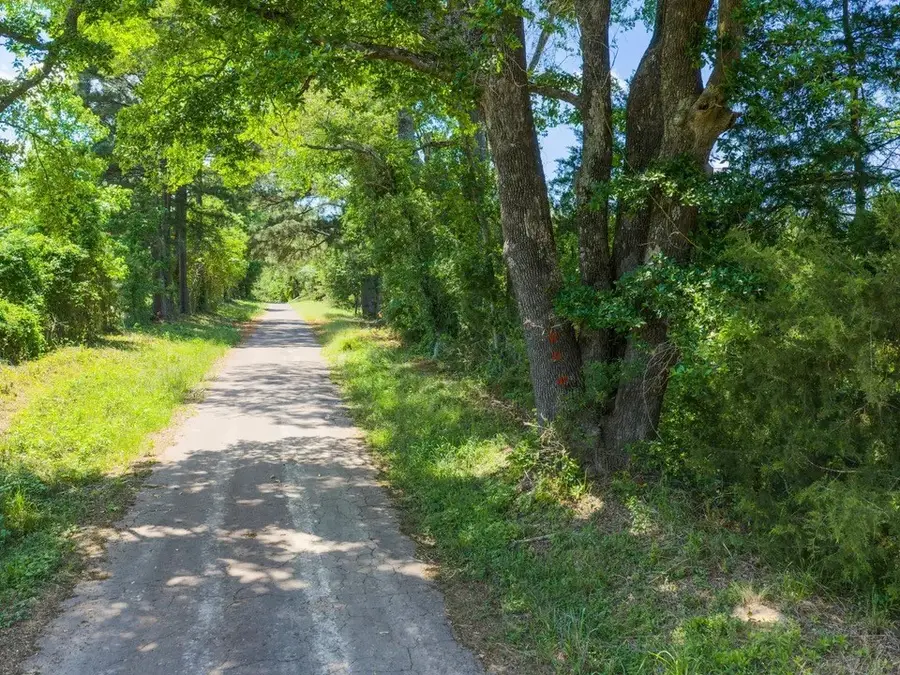 TBD Mule Deer Road, Gilmer, TX 75644 - #3