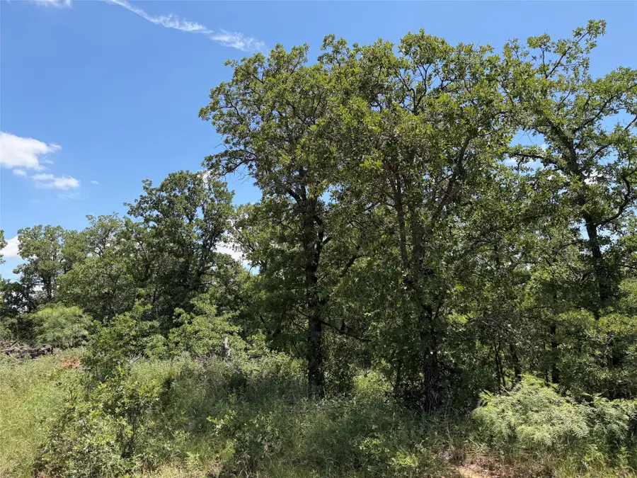 0000 Rux Road, Olney, TX 76374 - #3