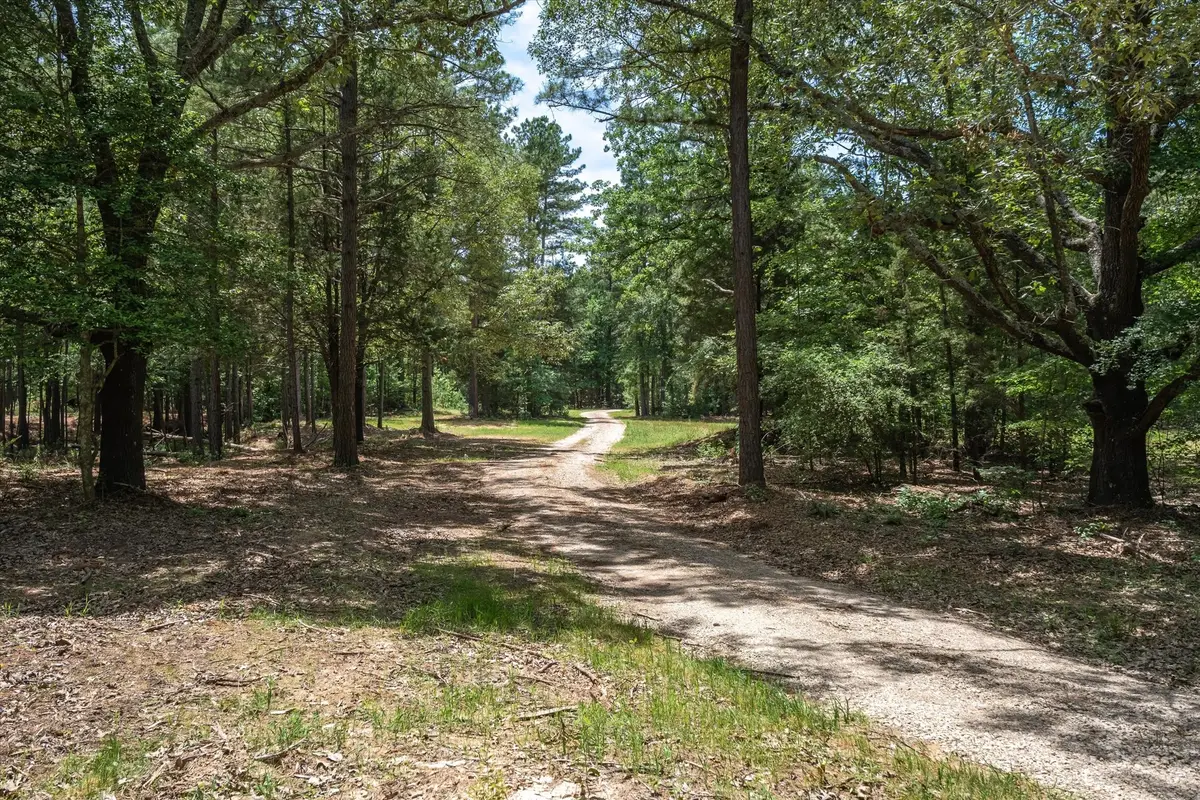 TBD Pvt. Rd 8079 Road, Ben Wheeler, TX 75754 - #1