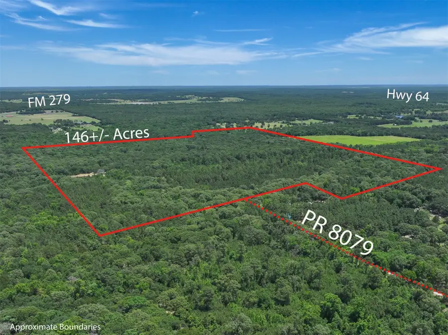TBD Pvt. Rd 8079 Road, Ben Wheeler, TX 75754 - #2