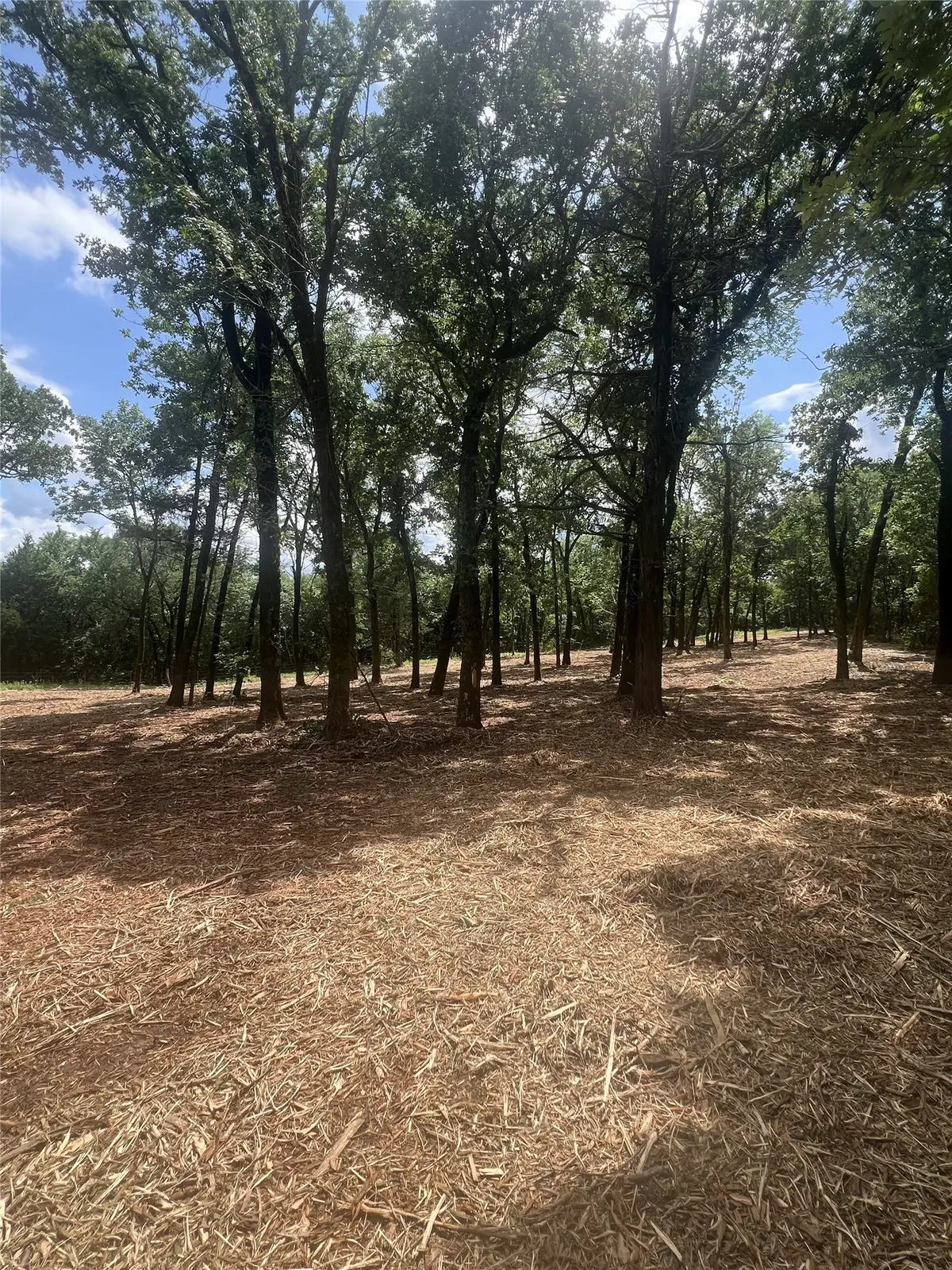 0 County Rd 2980, Windom, TX 75492 - #1