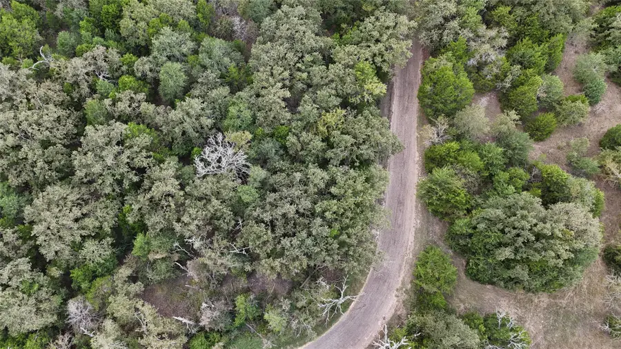 TBD County Road 890, Mexia, TX 76667 - #2