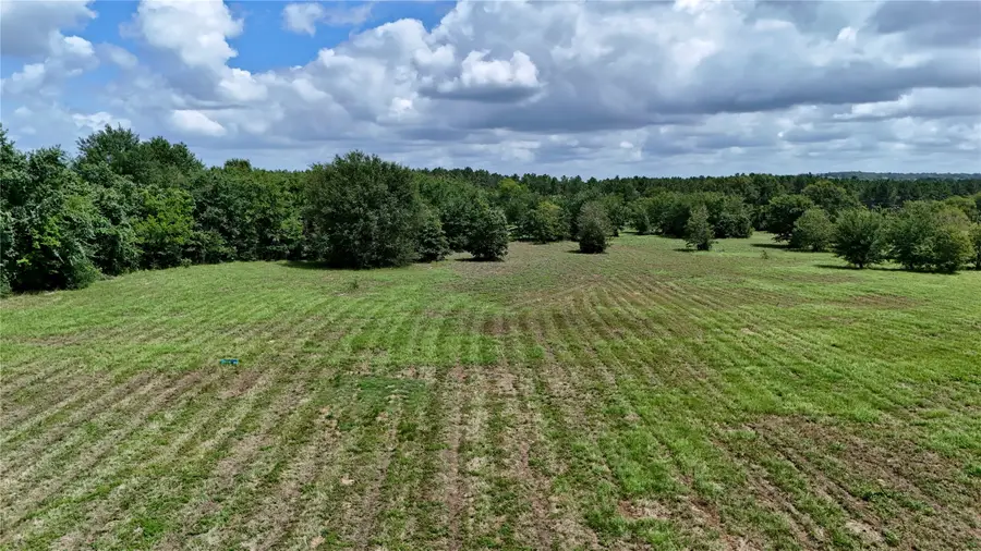 TBD Cr 1119, Athens, TX 75751 - #3