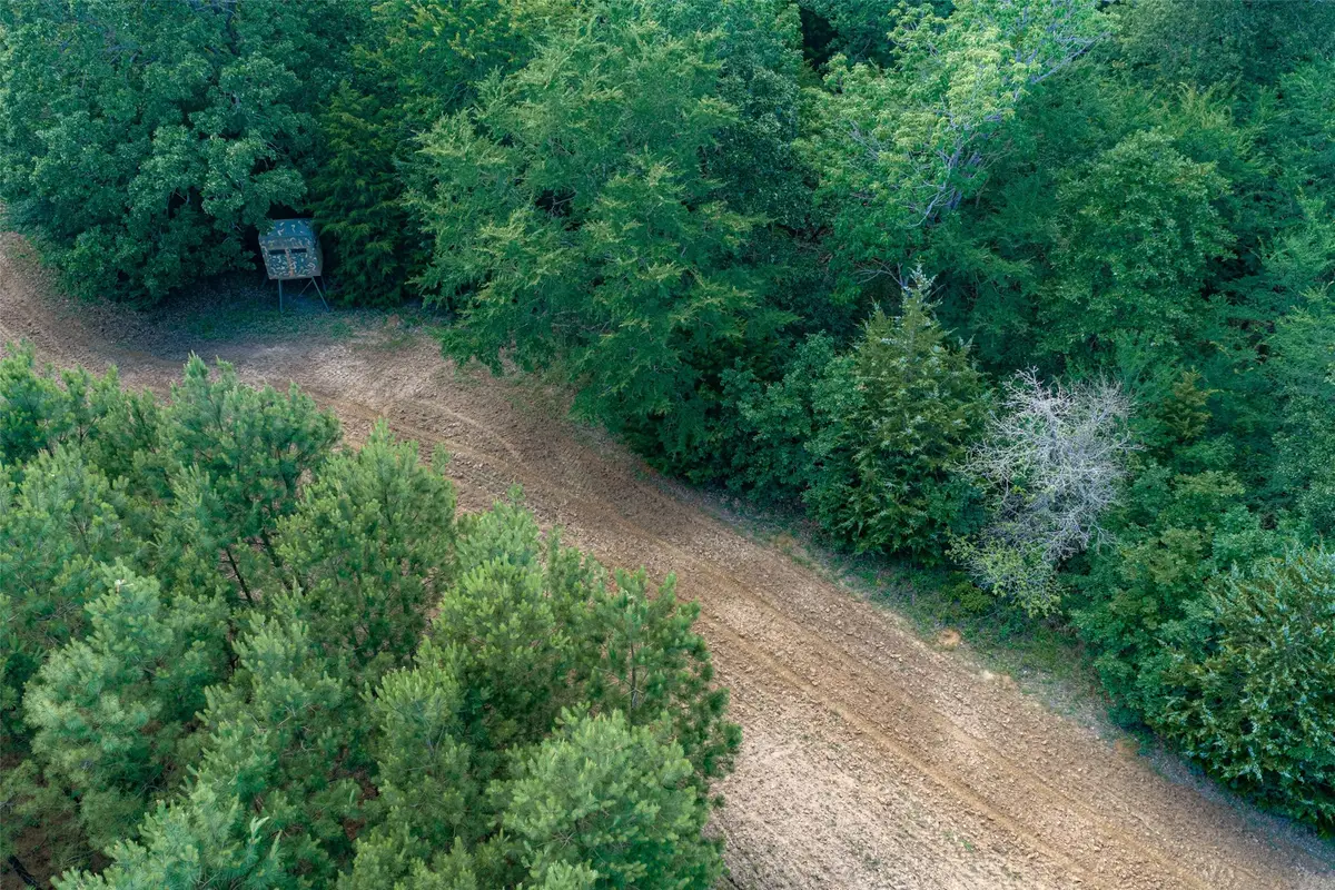 600 Anderson County Road 2805, Tennessee Colony, TX 75861 - #1