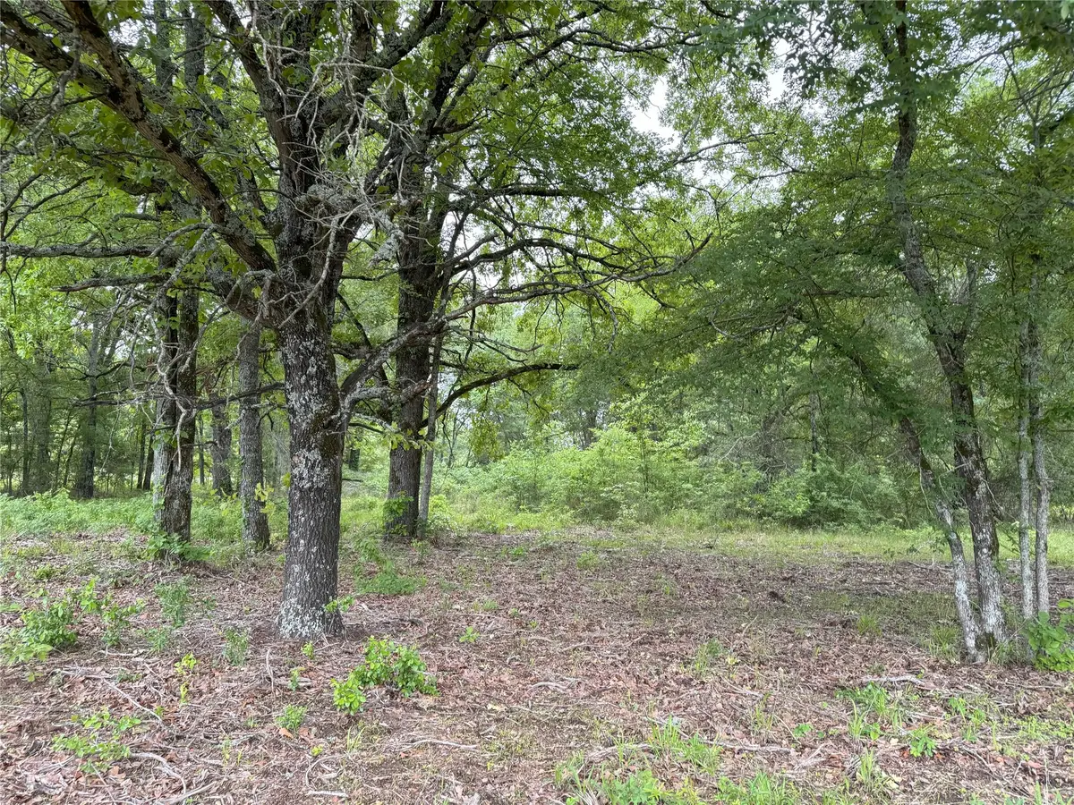 LOT 25 Rains County Road 2610, Alba, TX 75410 - #1