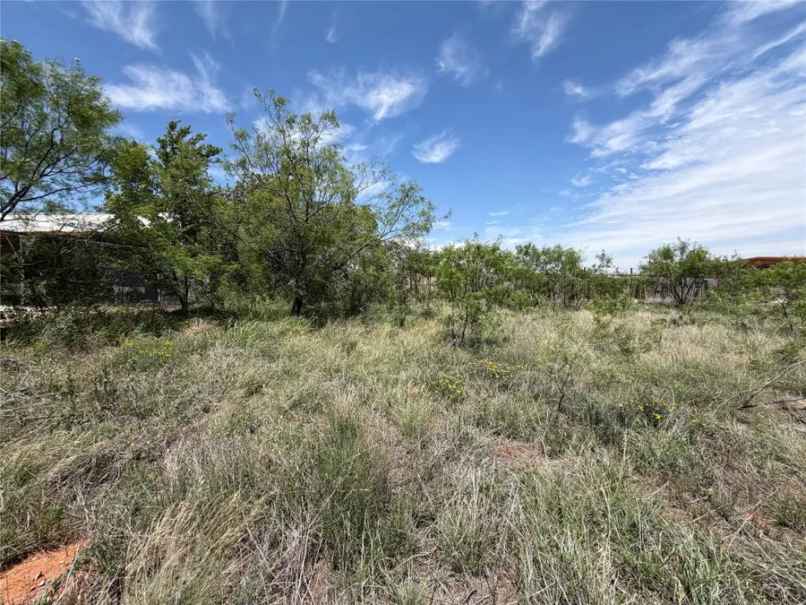2407 E Broadway Street, Sweetwater, TX 79556 - #3