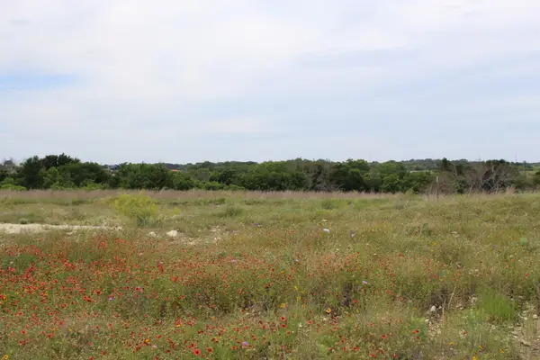 Lot 68 Mason Court, Dublin, TX 76446