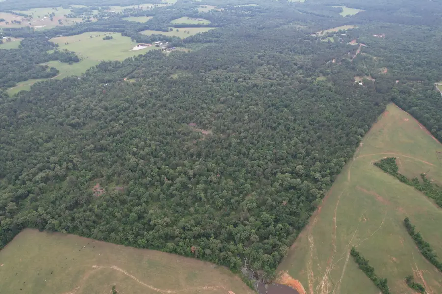 TBD County Road 461, Laneville, TX 75667 - #2