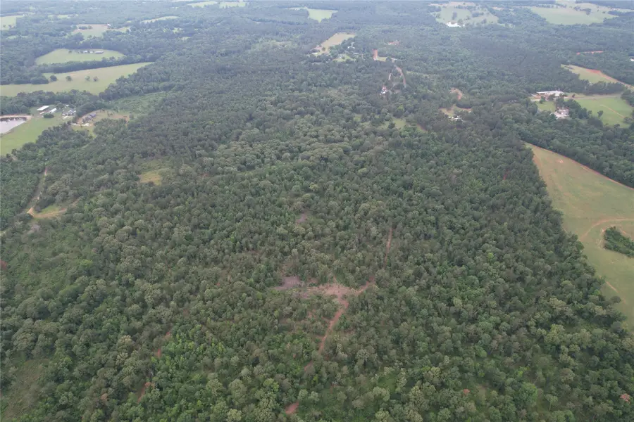 TBD County Road 461, Laneville, TX 75667 - #3