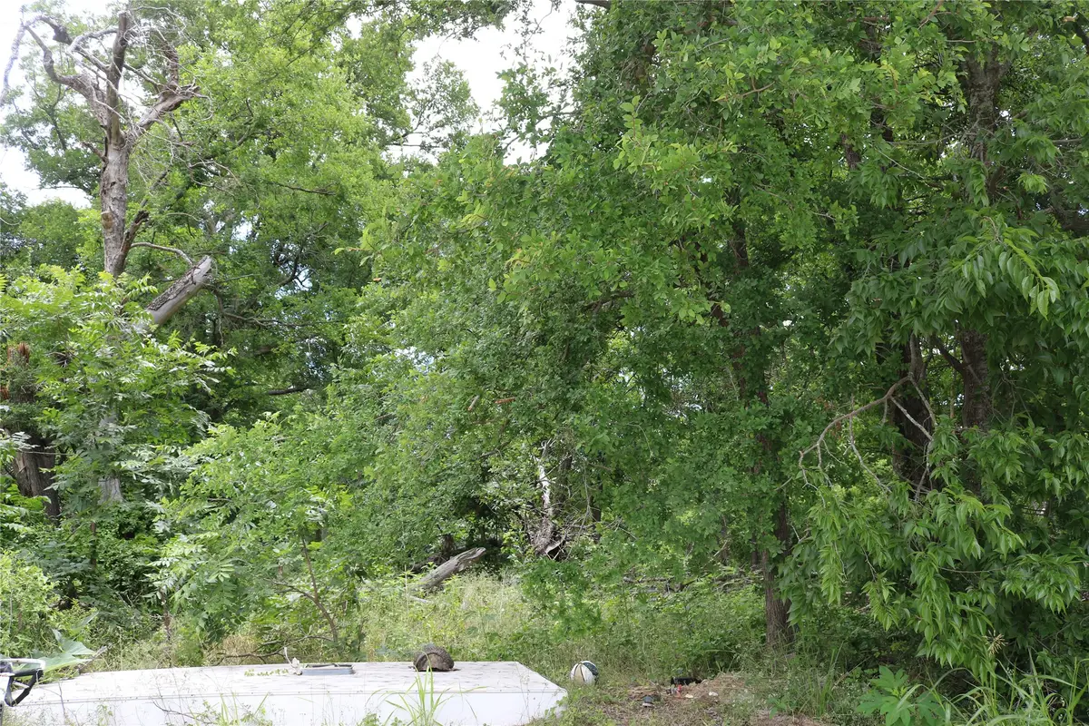 0 County Road 282, Dublin, TX 76446 - #1