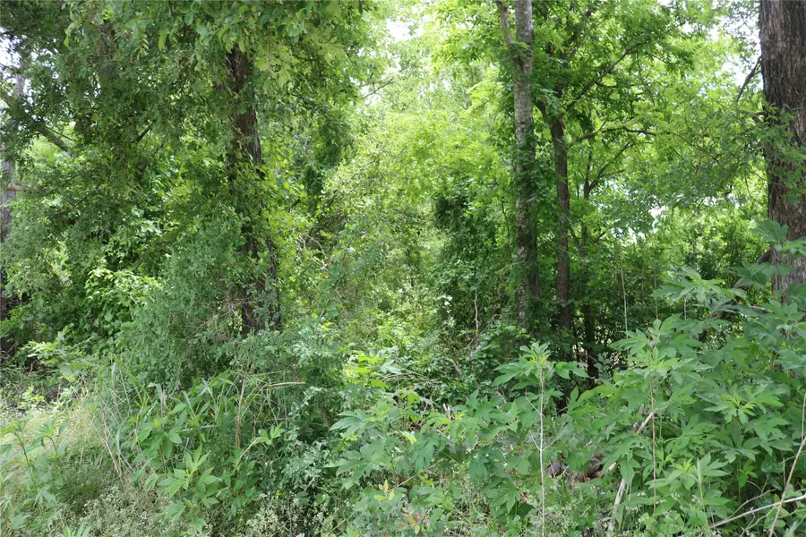 0 County Road 282, Dublin, TX 76446 - #3