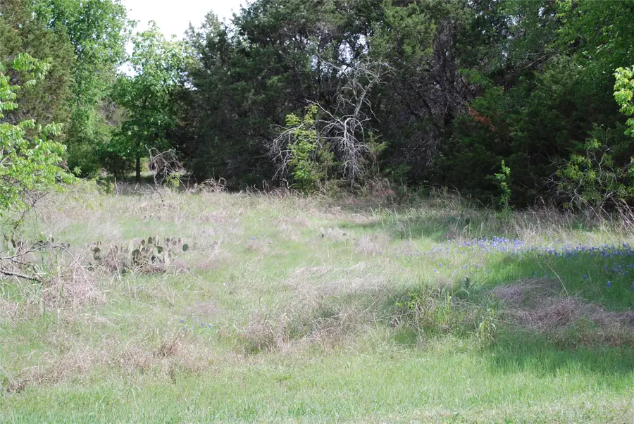 45011 Fringewood Drive, Whitney, TX 76692 - #2