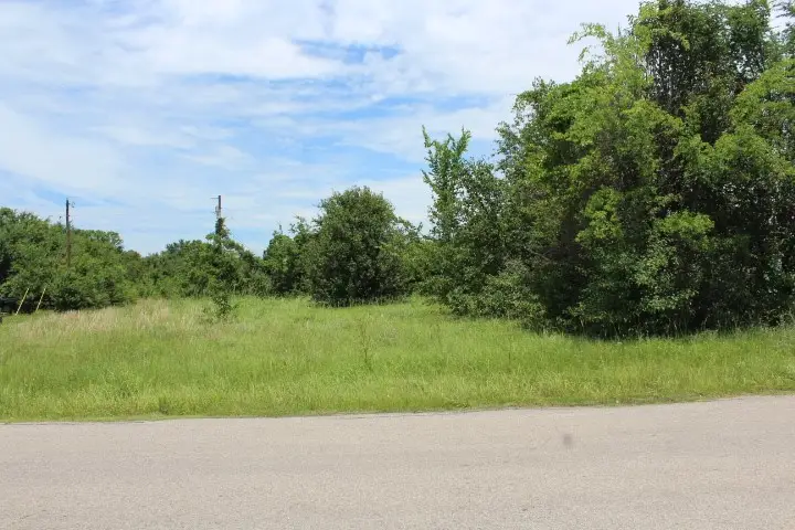 00 First Mate Road, Gun Barrel City, TX 75147 - #1