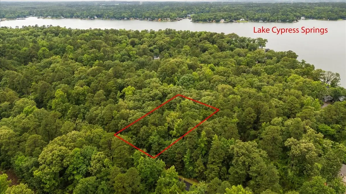 Lot 236 Canadian Drive, Scroggins, TX 75480 - #1