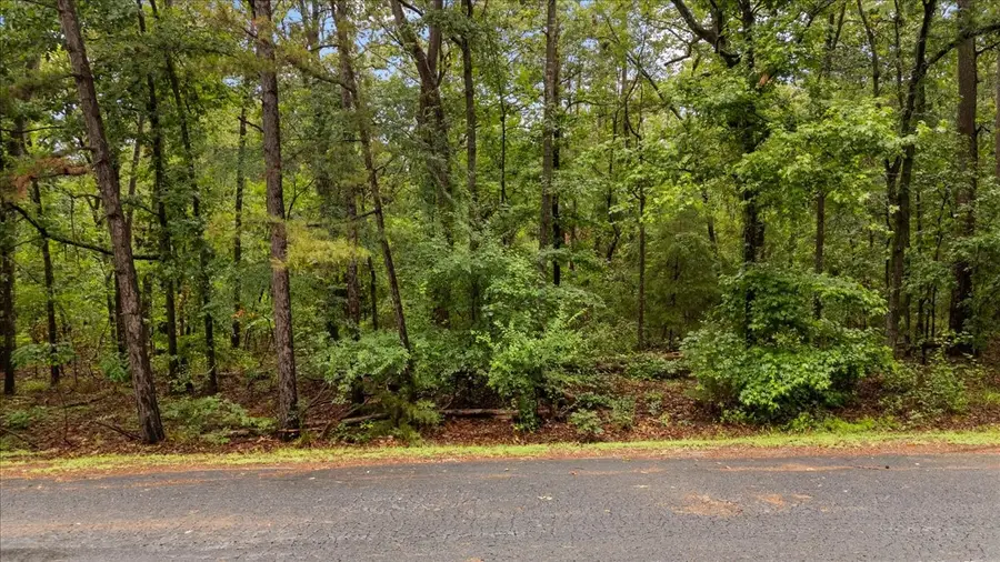 Lot 236 Canadian Drive, Scroggins, TX 75480 - #2