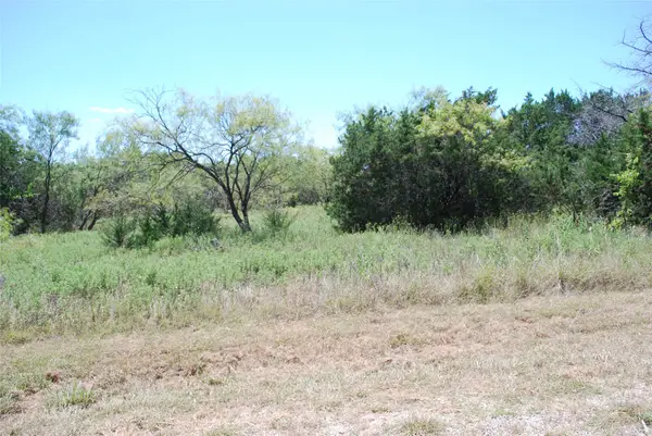 43131 Mountain Sage Drive, Whitney, TX 76692
