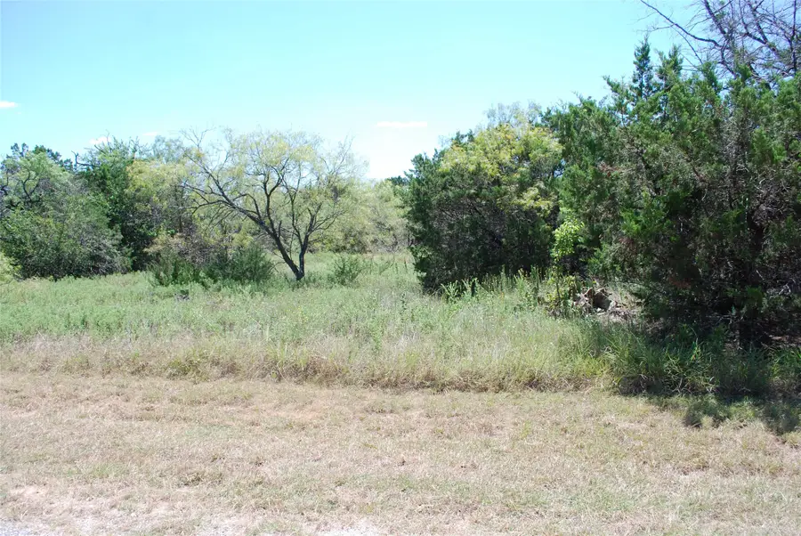 43131 Mountain Sage Drive, Whitney, TX 76692 - #2