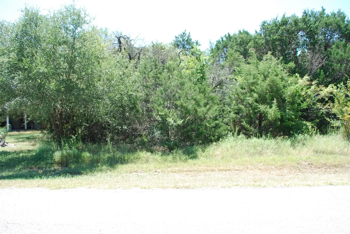 44155 Whisperwood Drive, Whitney, TX 76692 - #1