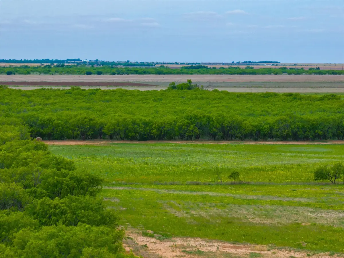 Lot 3 FM 2404, Hawley, TX 79525 - #1