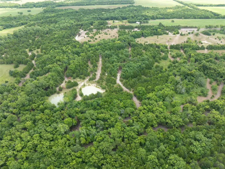TBD Tract 1 Pr Guthrie, Honey Grove, TX 75446 - #3