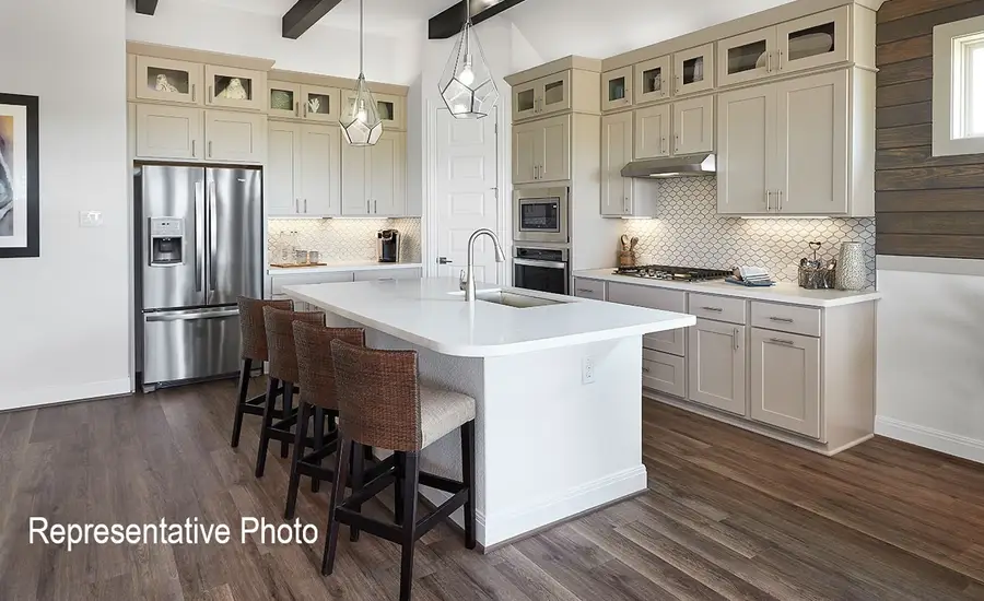 16521 Japanese Maple Drive, Justin, TX 76247 - #2