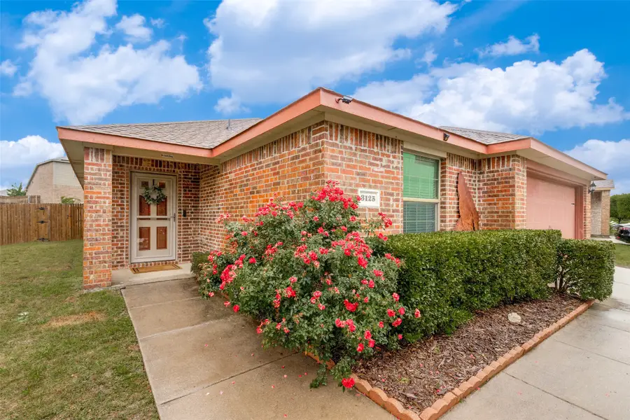3125 Elam Drive, Anna, TX 75409 - #3